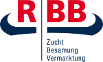 RBB Logo Neu