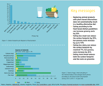 Sustainable Diet