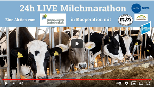 Weltmilchtag Livestream Forum Moderne Landwirtschaft